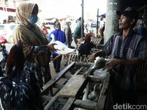 Kalender Jawa Minggu Legi 15 Maret 2026: Hari Baik Jual Ternak Unggas