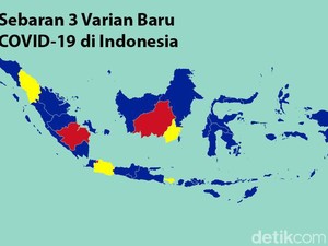 3 Varian Berbahaya COVID-19 Sudah Ada di Indonesia, Ini Sebarannya