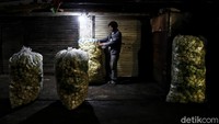 Menurut salah satu pedagang ketupat, mereka berjualan di pasar kawasan Tanjung Priok ini sejak subuh.  