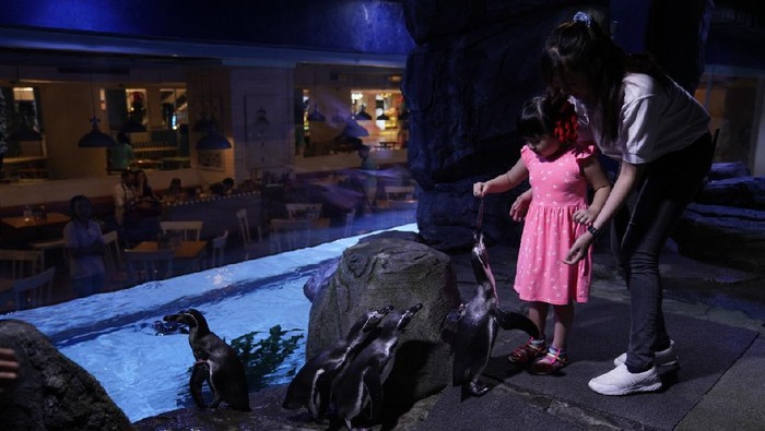 Jakarta Aquarium.