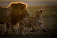 Jawara German Society for Nature Photography