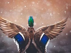 Bikin Takjub! Keindahan Alam yang Terabadikan Kamera