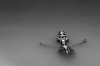 Jawara German Society for Nature Photography