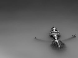 Bikin Takjub! Keindahan Alam yang Terabadikan Kamera