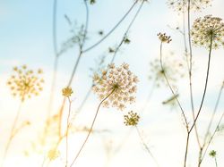 Bikin Takjub! Keindahan Alam yang Terabadikan Kamera