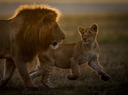 Bikin Takjub! Keindahan Alam yang Terabadikan Kamera