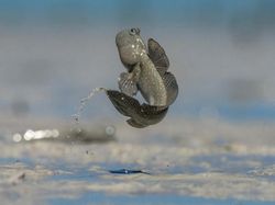 Bikin Takjub! Keindahan Alam yang Terabadikan Kamera