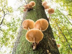 Bikin Takjub! Keindahan Alam yang Terabadikan Kamera