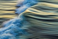 Jawara German Society for Nature Photography