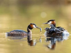 Bikin Takjub! Keindahan Alam yang Terabadikan Kamera