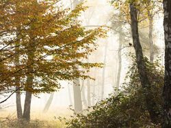 Bikin Takjub! Keindahan Alam yang Terabadikan Kamera