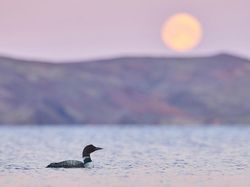 Bikin Takjub! Keindahan Alam yang Terabadikan Kamera