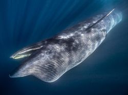 Bikin Takjub! Keindahan Alam yang Terabadikan Kamera