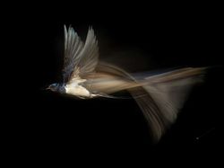 Bikin Takjub! Keindahan Alam yang Terabadikan Kamera