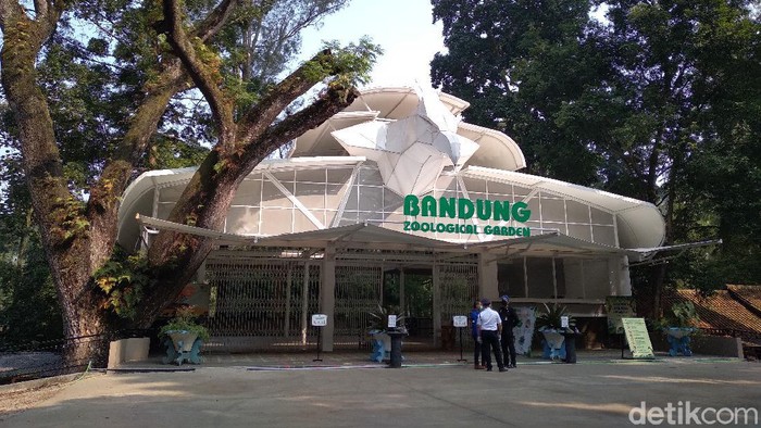 Kebun Binatang Bandung (Bandung Zoological Garden) memutuskan akan tetap dibuka saat perayaan Hari Raya Idul Fitri. Marcom Bandung Zoo Sulhan Syafii mengatakan, pihaknya sudah bersiap diri untuk menerima wisatawan dengan protokol kesehatan yang ketat.