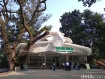 Kabar Terbaru Sidang Gugatan Bunbin Vs Pemkot Bandung