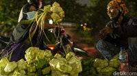 Seperti ke Pasar Minggu, Pasar Induk, Pasar Palmerah dan lain sebagainya, meski begitu tak jarang kulit ketupat telah kehabisan diborong pembeli sebelum sampai pasar.
