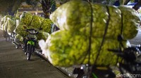 Para penjual pun kini tengah mengebut produksi, biasanya dalam sehari para pembuat kulit ketupat dapat menyelesaikan hingga 1000 buah.