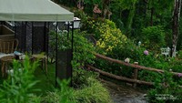 Udara sejuk dan banyak bunga yang bikin mata jadi fresh