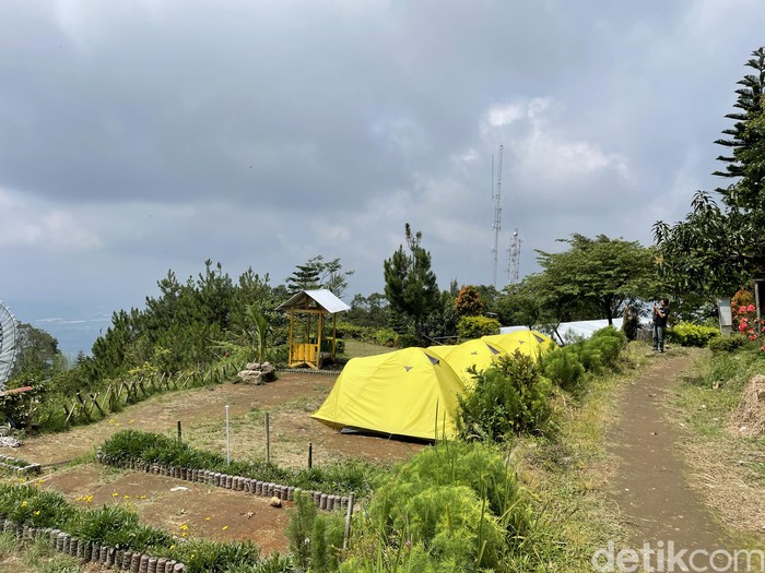 Mawar Camp - Gunung Ungaran Semarang