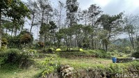 Berikut ini paket liburan terbaru di Mawar Camp - Gunung Ungaran Semarang, yakni paket 180 K Nendo Jejer Mobil, paket 140 K Nendo Jejer Motor, dan paket 130 K, Mawar Ngangeni.