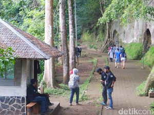 Ada Penyesuaian, Segini Harga Tiket Masuk ke Tahura Bandung Sekarang