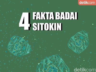 4 Fakta Badai Sitokin, Respons Imun yang Banyak Dialami Pasien COVID-19