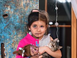 Simpati Palestina, Ini Potret Kontras Negara Konflik dan Damai