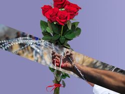 Simpati Palestina, Ini Potret Kontras Negara Konflik dan Damai