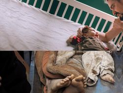 Simpati Palestina, Ini Potret Kontras Negara Konflik dan Damai