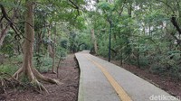 Hutan Kota Srengseng Jakarta Barat seluas 13 hektar ini memiliki pedestrian yang sangat baik.