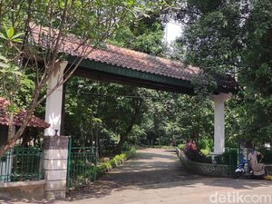 Jenuh Tak Mudik Lebaran? Cobalah Berkunjung ke Hutan Mini Jakarta Ini