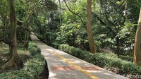 Bahkan di siang hari sinar matahari seperti tak menembus sampai tanah.