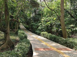 Rupa Hutan Mini Jakarta, Siap Menyambutmu di Libur Lebaran