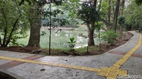 Hilangkan rasa jenuh dan dipersilakan bermain ke sini. Jumlah kuotanya 30% atau sekitar 450 orang per hari, kata Shahnan, keamanan di Hutan Kota Srengseng.