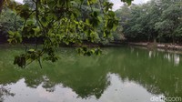 Selama masa libur lebaran Hutan Kota Srengseng dibuka setiap hari dari pukul 07.00-17.00.