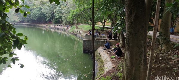 Ada begitu banyak aktivitas di sini, mulai dari jalan kaki, memancing di danau sampai melihat budidaya madu klanceng. Ada begitu banyak aktivitas di sini, mulai dari jalan kaki, memancing di danau sampai melihat budidaya madu klanceng.
