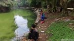 Rupa Hutan Mini Jakarta, Siap Menyambutmu di Libur Lebaran