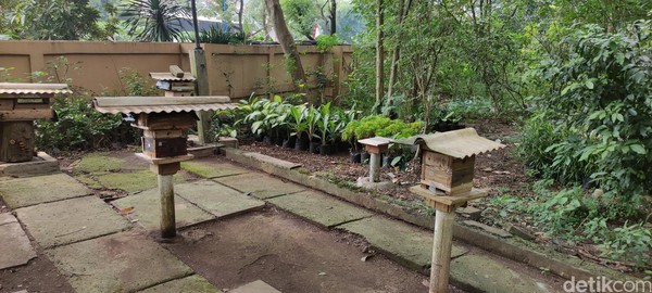 Ada budidaya lebah klanceng jenis torasika semenjak pandemi. Bisa sedot langsung. Per pot Rp 10 ribu. Anak sekolah Rp 5 ribu, terang Shahnan menambahkan. Ada budidaya lebah klanceng jenis torasika semenjak pandemi. Bisa sedot langsung. Per pot Rp 10 ribu. Anak sekolah Rp 5 ribu, terang Shahnan menambahkan.