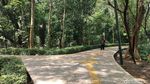 Rupa Hutan Mini Jakarta, Siap Menyambutmu di Libur Lebaran