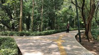Kesan pertama kami saat memasuki Hutan Kota Srengseng adalah pepohonan di hutan mini ini begitu rapat.