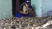Warga di kawasan yang dikenal sejak lama dengan sebutan Kampung Ketupat ini kebanjiran order di momen lebaran.  