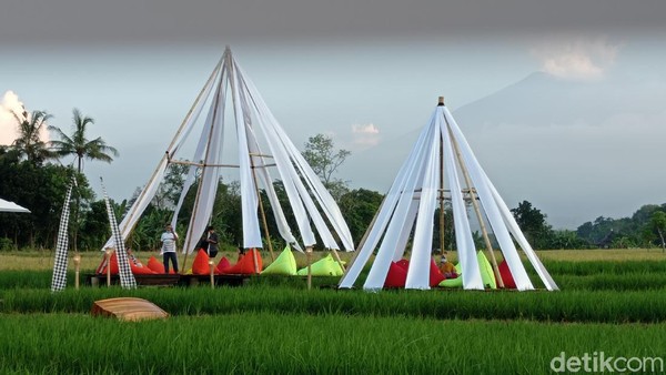 Kampung Sabin ini terletak di Desa Sindangjawa, Kecamatan Dukupuntang, Kabupaten Cirebon. Pihak pengelola menyulap areal sawah seluas satu hektar jadi mirip seperti di Ubud, Bali. (Sudirman Wamad/detikTravel) Kampung Sabin ini terletak di Desa Sindangjawa, Kecamatan Dukupuntang, Kabupaten Cirebon. Pihak pengelola menyulap areal sawah seluas satu hektar jadi mirip seperti di Ubud, Bali. (Sudirman Wamad/detikTravel)