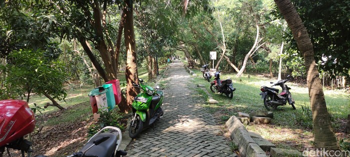 Kawasan Ekowisata Mangrove PIK