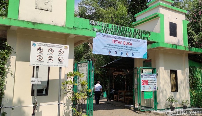 Kawasan Ekowisata Mangrove PIK