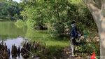 Kawasan Ekowisata Mangrove PIK, Cocok Banget Buat Wisata Luar Ruang