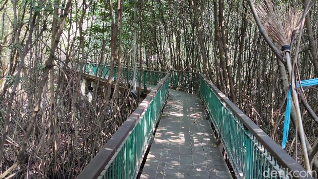 Kawasan Ekowisata Mangrove PIK