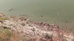 Potret Ratusan Mayat di Sungai Gangga Bak Kuburan Massal