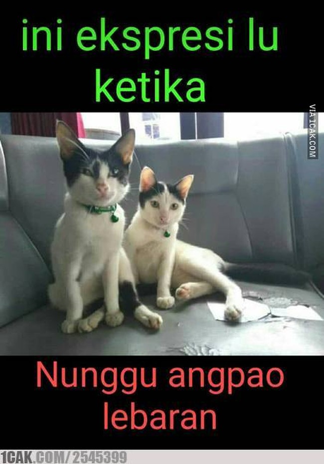Muka-muka mupeng pas nunggu angpao Lebaran nih. Lebih mupeng lagi kalau udah nunggu tapi ternyata nggak dapet angpao Lebaran. Auto gigit jari deh.. Foto: 1cak.com