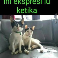 Muka-muka mupeng pas nunggu angpao Lebaran nih. Lebih mupeng lagi kalau udah nunggu tapi ternyata nggak dapet angpao Lebaran. Auto gigit jari deh.. Foto: 1cak.com